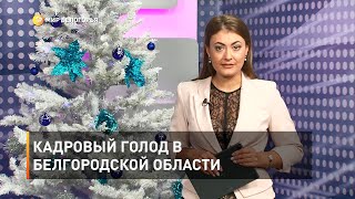 Кадровый голод в Белгородской области 