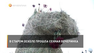 В Старом Осколе прошла сенная вечеринка