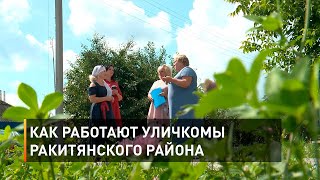 Как работают уличкомы Ракитянского района