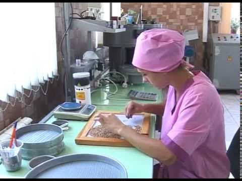 Проверка качества зерна