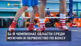 54-й чемпионат области среди мужчин и первенство по боксу