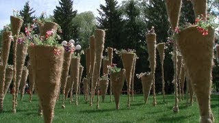 Каким будет форум «Зелёная столица» в 2019 году