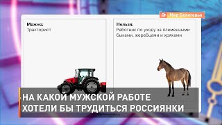 На какой мужской работе хотели бы трудиться россиянки