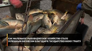 Как маленькое рыбоводческое хозяйство стало успешным бизнесом благодаря государственному гранту
