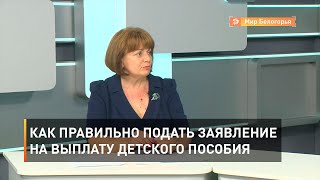  Как правильно подать заявление на выплату детского пособия