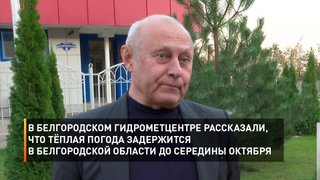 В белгородском Гидрометцентре рассказали, что тёплая погода задержится в Белгородской области до середины октября