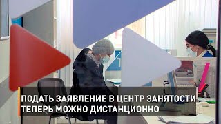 Подать заявление в центр занятости теперь можно дистанционно
