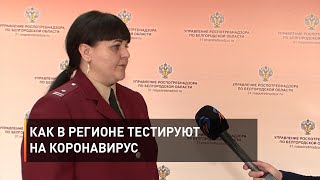 Как в регионе тестируют на коронавирус