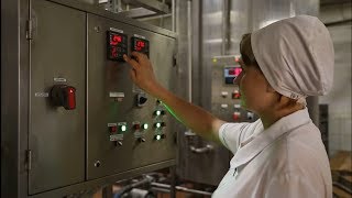 В какой отрасли проще найти работу в Белгороде