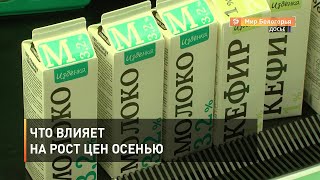 Что влияет на рост цен осенью