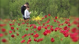 «Воронцовый край» в Вейделевском районе