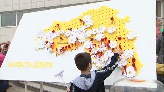В Белгороде прошла акция «Белый цветок»