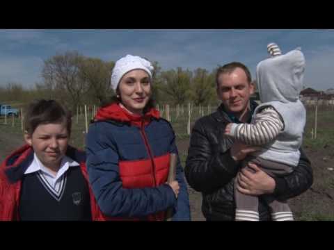 Сквер новорожденных в Чернянке 