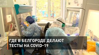 Где в Белгороде делают тесты на COVID-19