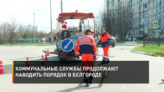Коммунальные службы продолжают наводить порядок в Белгороде