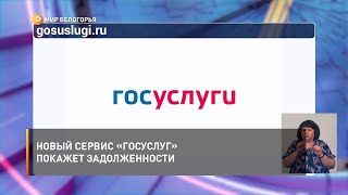 Новый сервис «Госуслуг» покажет задолженности