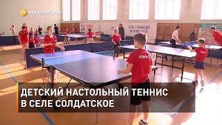 Детский настольный теннис в селе Солдатское