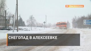 Снегопад в Алексеевке 