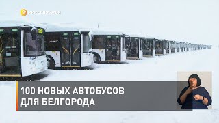 100 новых автобусов для Белгорода