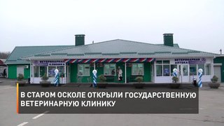 В Старом Осколе открыли государственную ветеринарную клинику