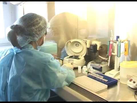 Белгородская межобластная ветеринарная лаборатория работает в усиленном режиме 