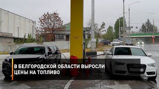 В Белгородской области выросли цены на топливо