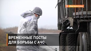Временные посты для борьбы с АЧС 