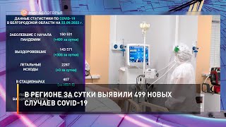 В регионе за сутки выявили 499 новых случаев COVID-19