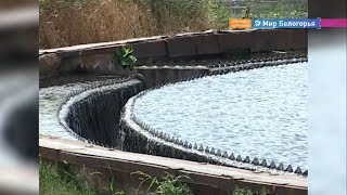 Обновление белгородских очистных сооружений