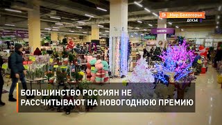 Большинство россиян не рассчитывают на новогоднюю премию 