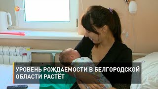 Уровень рождаемости в Белгородской области растёт