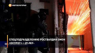 Спецподразделению Росгвардии ОМОН «Острог» – 29 лет