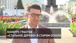 Конкурс грантов «Стальное Дерево» в Старом Осколе