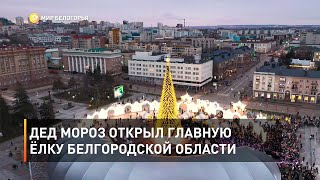 Дед Мороз открыл главную ёлку Белгородской области 