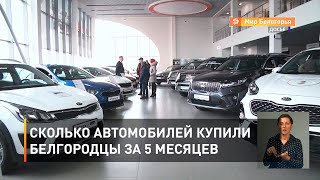 Сколько автомобилей купили белгородцы за 5 месяцев 