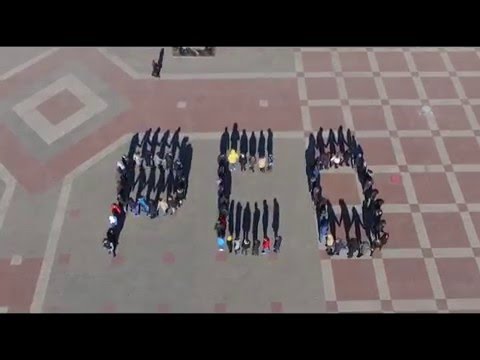 Праздник студенческих отрядов 