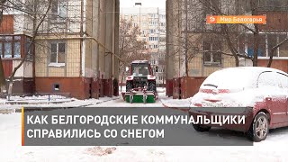 Как белгородские коммунальщики справились со снегом