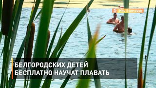 Белгородских детей бесплатно научат плавать 
