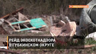 Рейд Экоохотнадзора в Губкинском округе
