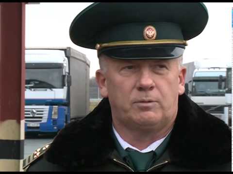 В Россию не пустили 250 попугаев