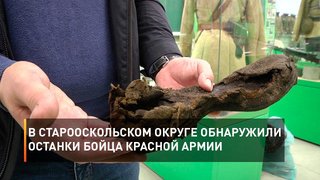 В Старооскольском округе обнаружили останки бойца красной армии