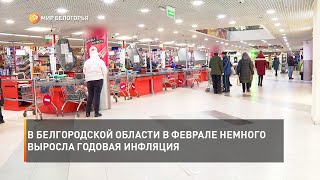 В Белгородской области в феврале немного выросла годовая инфляция