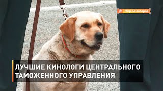 Лучшие кинологи Центрального таможенного управления
