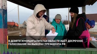 В девяти муниципалитетах области идёт досрочное голосование на выборах Президента РФ