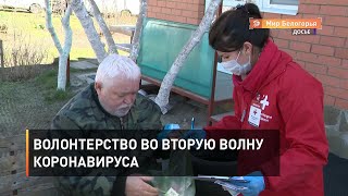 Волонтерство во вторую волну коронавируса