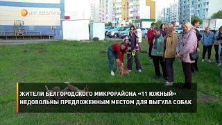Жители белгородского микрорайона «11 Южный» недовольны предложенным местом для выгула собак