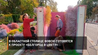 В областной столице вовсю готовятся к проекту «Белгород в цвету»