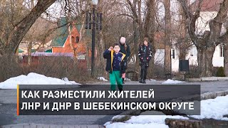 Как разместили жителей ЛНР и ДНР в Шебекинском округе  