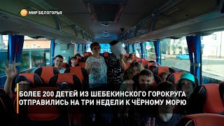 Более 200 детей из Шебекинского горокруга отправились на три недели к Чёрному морю
