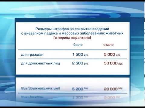 Подписан закон, ужесточающий ответственность за нарушение ветнорм  